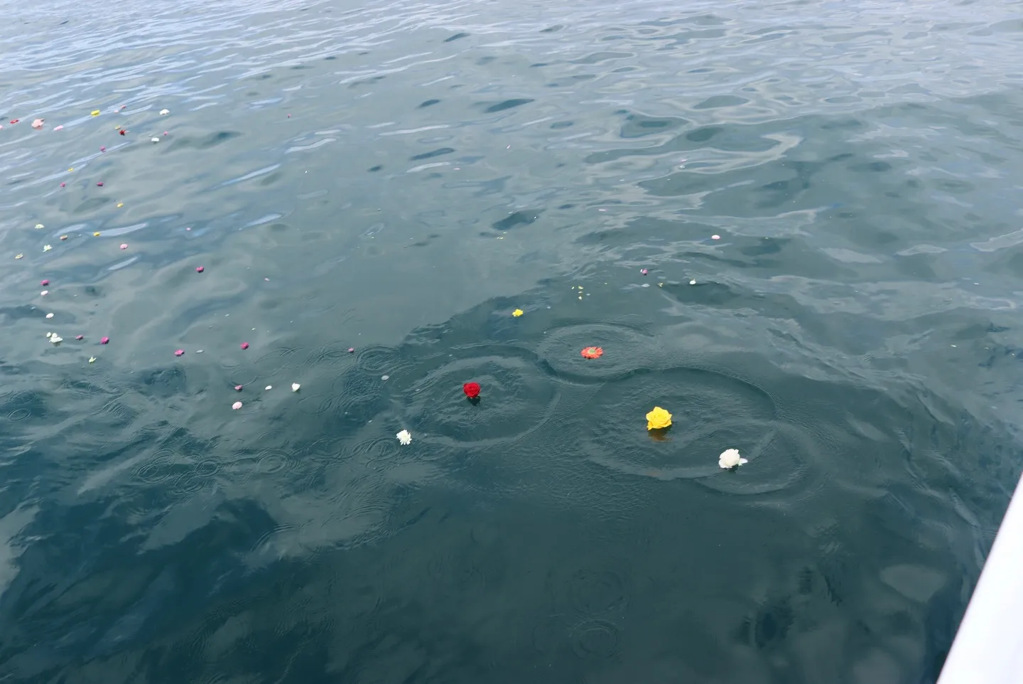 令和8年(2026)海洋散骨の受付を開始しました。